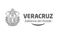 Gobierno de Veracruz